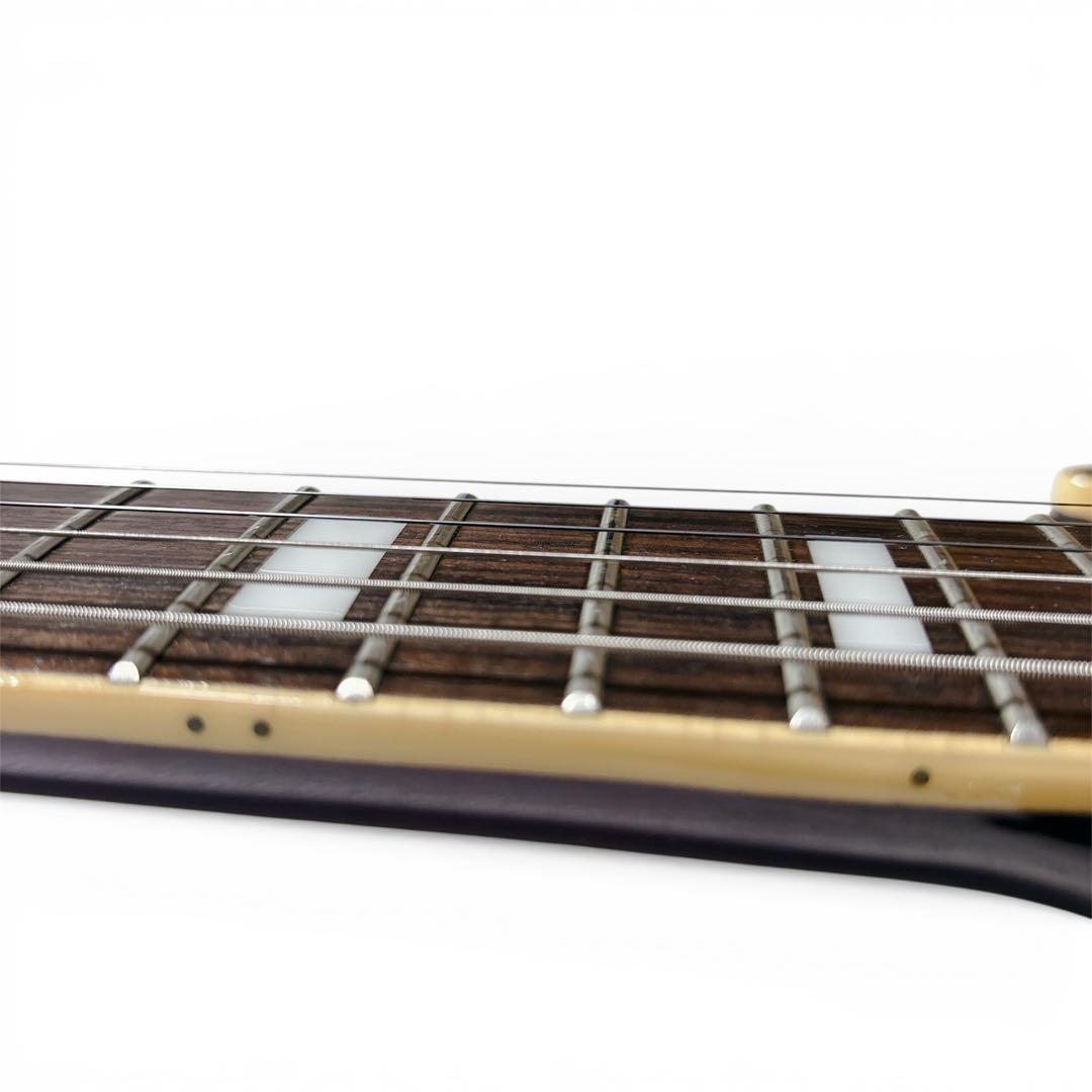 【美品・ハードケース付】Aria Pro II PE-DLX シースルーパープル