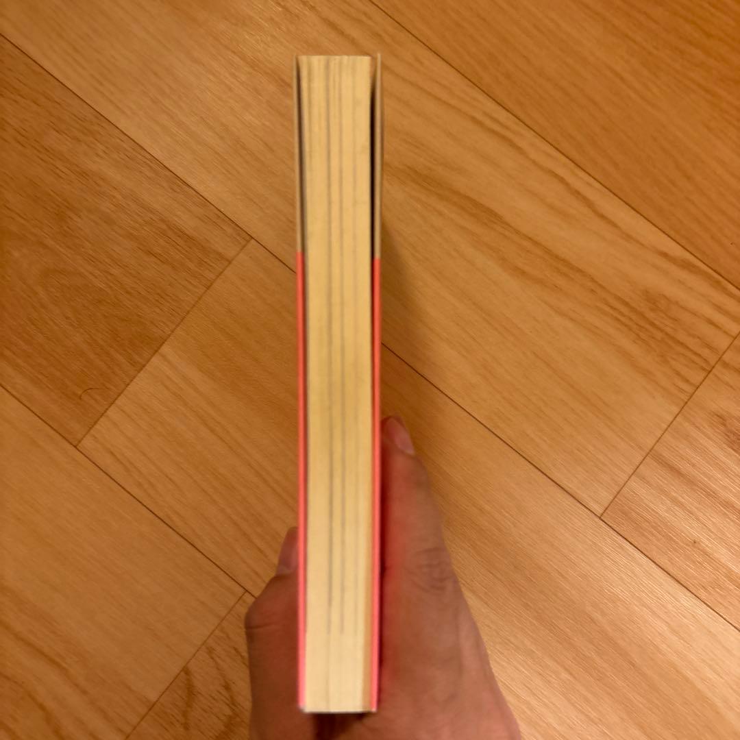その他 Sofia file