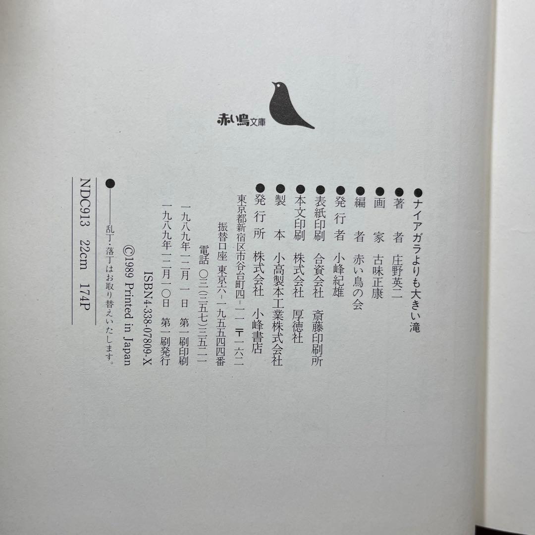 ナイアガラよりも大きい滝