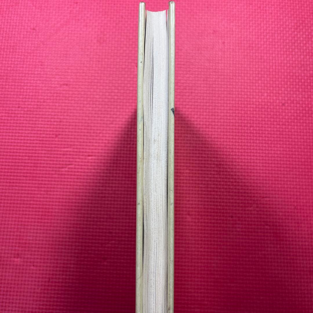 ナイアガラよりも大きい滝