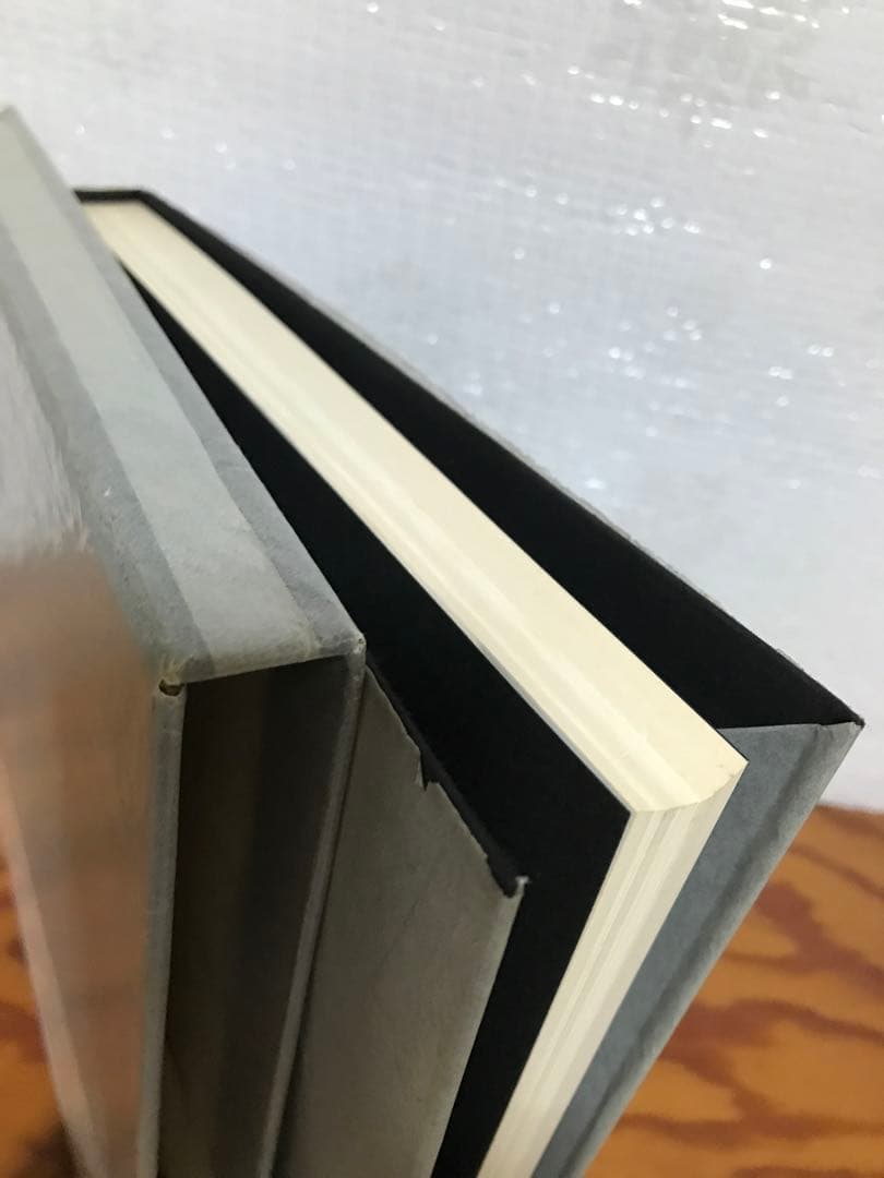 ハンス・ベルメール　イマージュの解剖学　眼は未開の状態にある叢書4　種村季弘