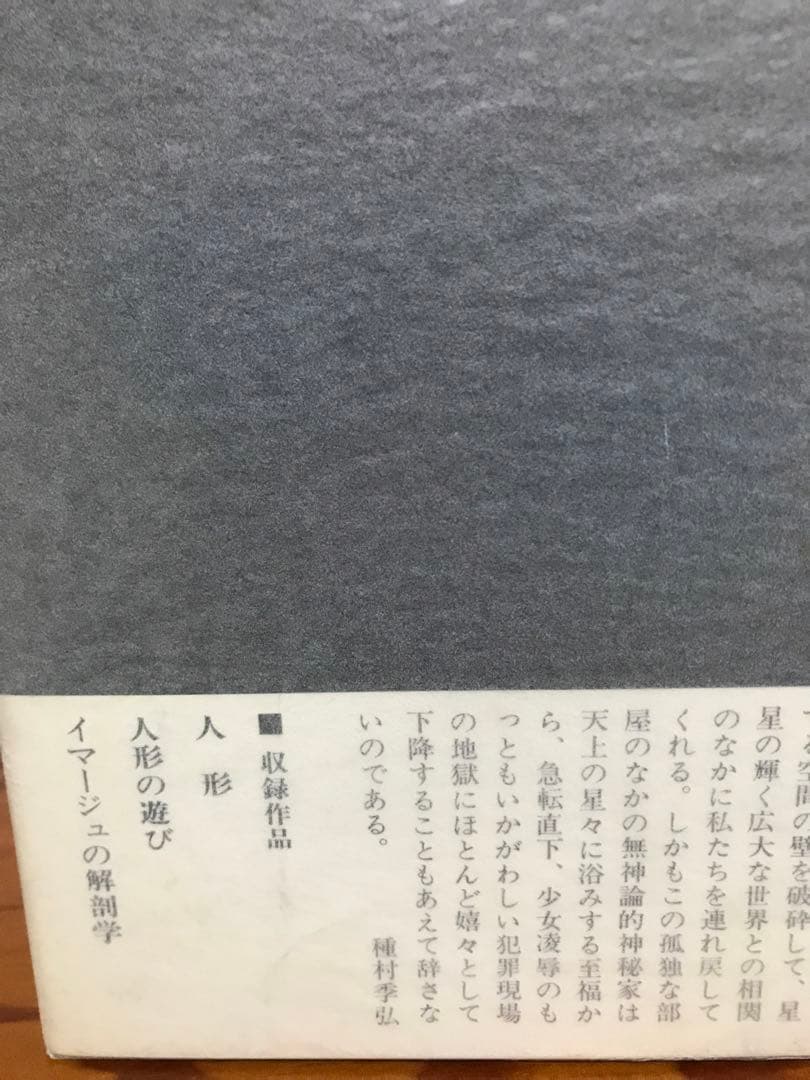 ハンス・ベルメール　イマージュの解剖学　眼は未開の状態にある叢書4　種村季弘