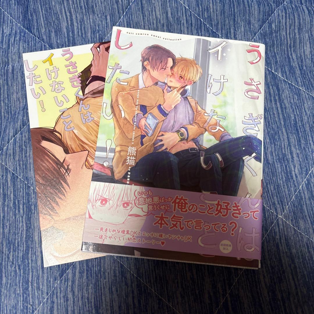のり（発送にお時間頂きます）出品うさぎくんはイけないことしたい!