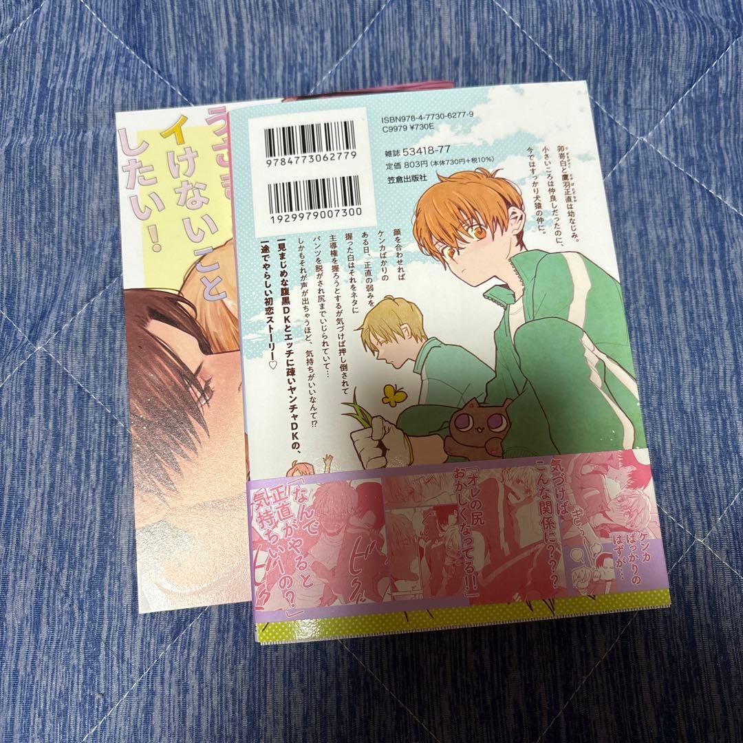 のり（発送にお時間頂きます）出品うさぎくんはイけないことしたい!