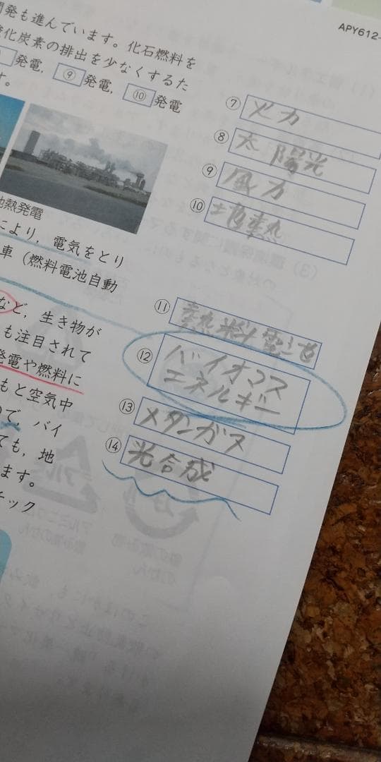 エブリスタディ アドバンスト 理科 要点集中プラン 小6