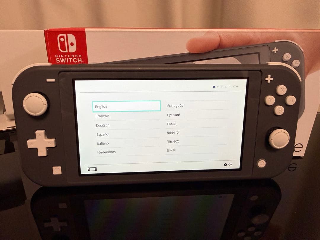 Nintendo Switch Lite グレー 本体 acアダプター 箱