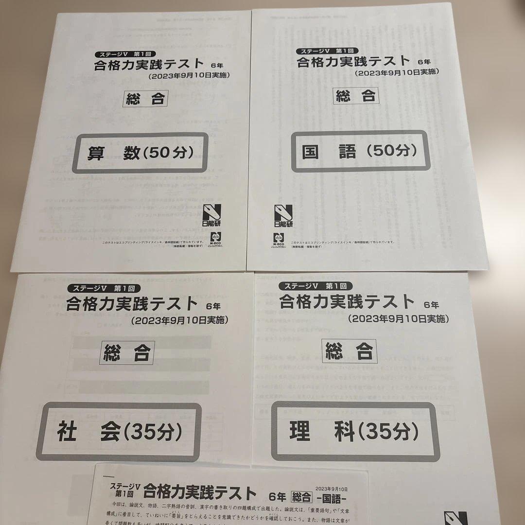 日能研6年　合格力育成テスト　合格力実践テスト　11回分　(うち6回分新品)