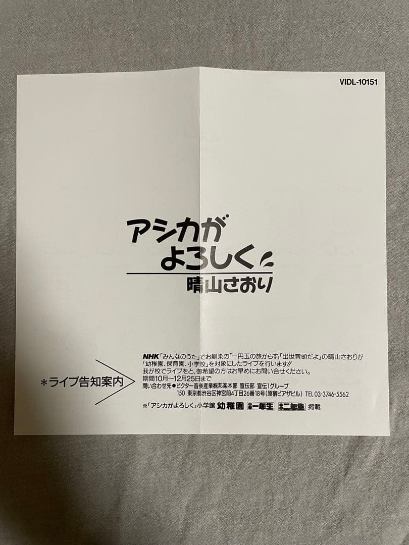 8cm CD 晴山さおり アシカがよろしく 平成に燃えた元祖炎上クイーン
