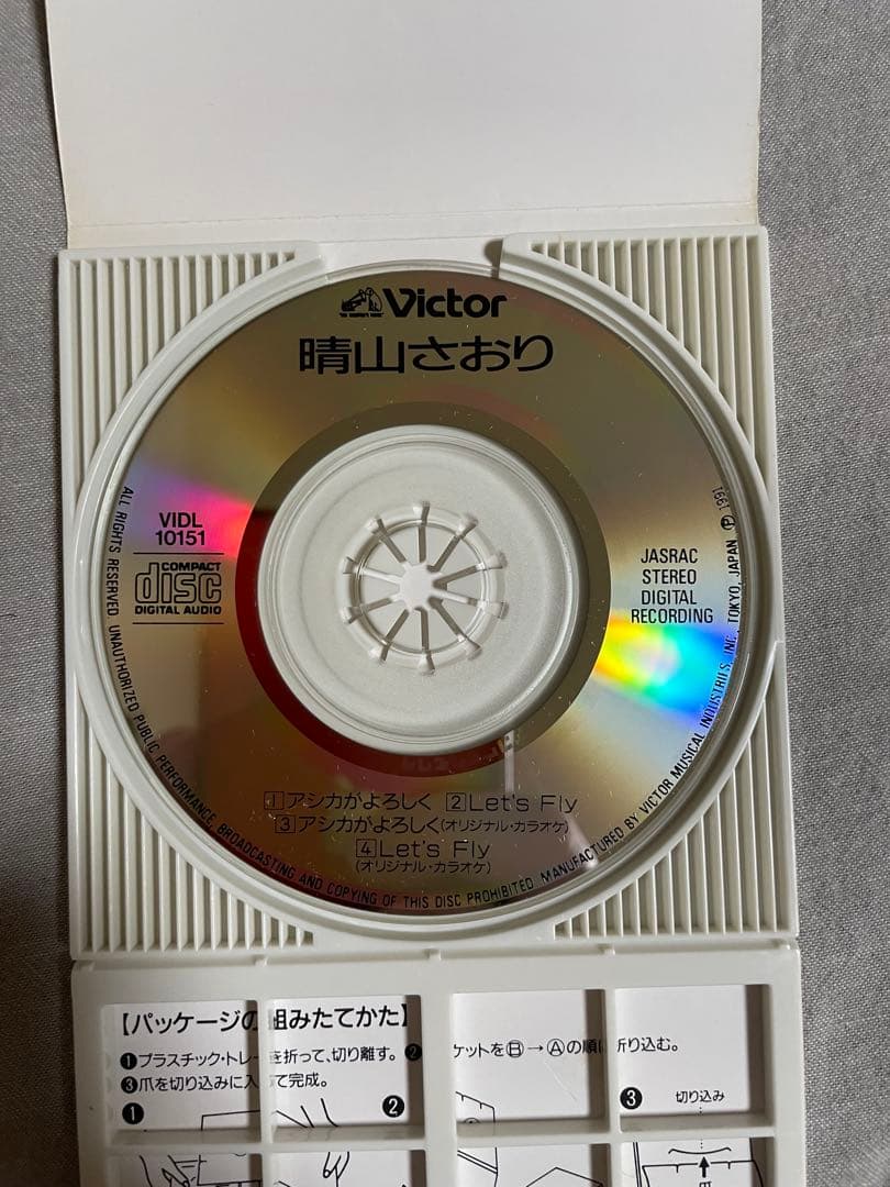 8cm CD 晴山さおり アシカがよろしく 平成に燃えた元祖炎上クイーン