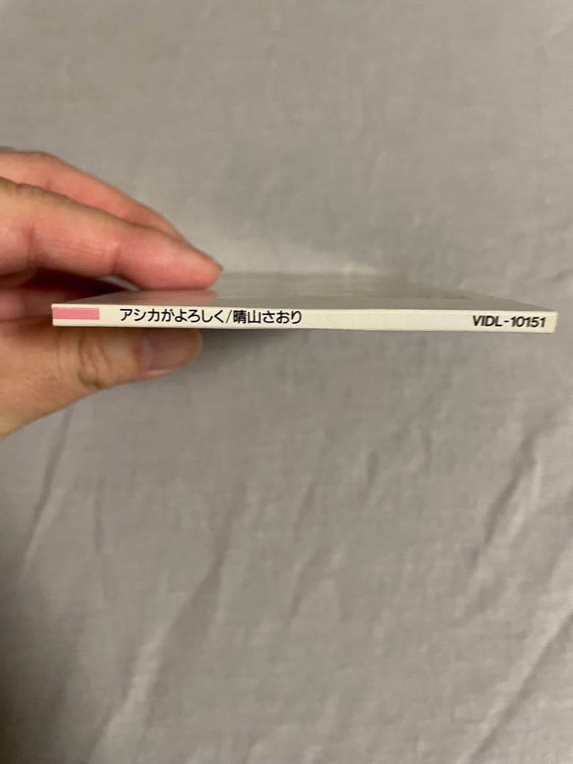 8cm CD 晴山さおり アシカがよろしく 平成に燃えた元祖炎上クイーン