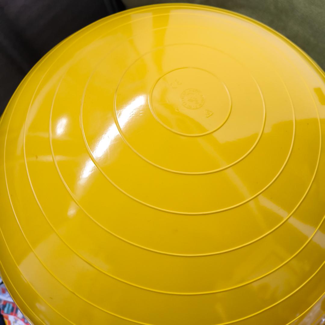 Gymnic ギムニク バランスボール フィジオロール 55cm ピーナッツ型