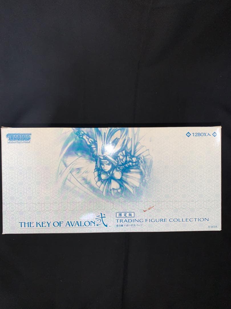 専用⭐️超レア！THE KEY OF AVALON弐 ⭐️ 1ケース・12BOX入り