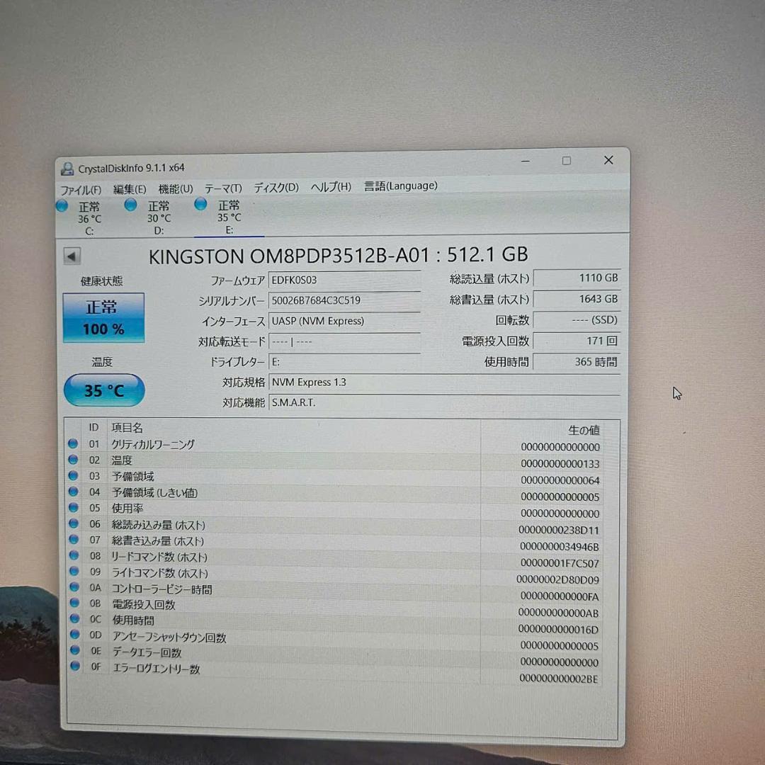 Kingston NVMe SSD 512GB 正常動作