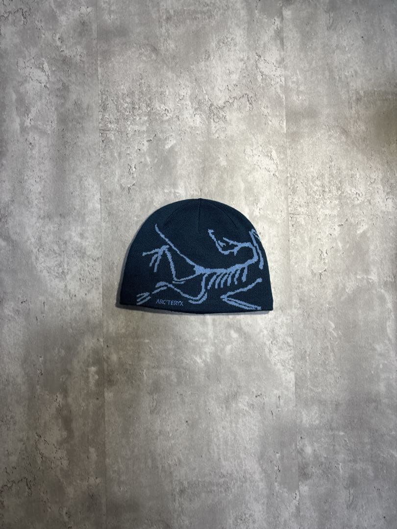【国内正規品】アークテリクス バードヘッドトーク Moonlit/Lucent