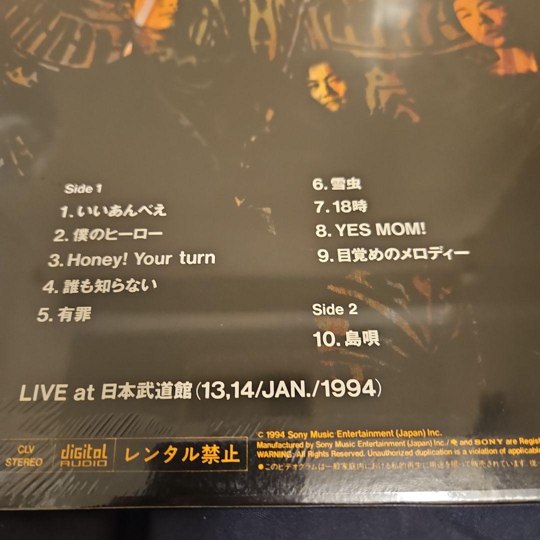 THE BOOM 【LD】レーザーディスク4枚