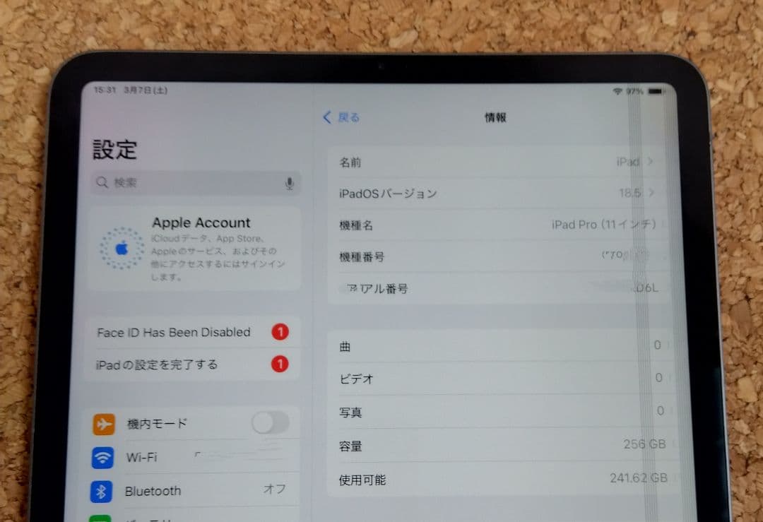 iPad Pro11 第一世代 A1980 256G Wifi専用 ジャンク
