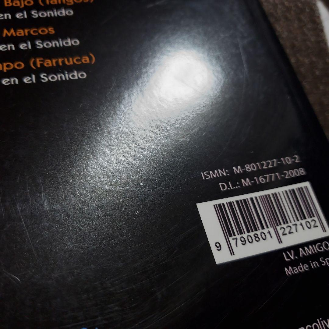 Vicente Amigo Campo de la Verdad ビセンテ