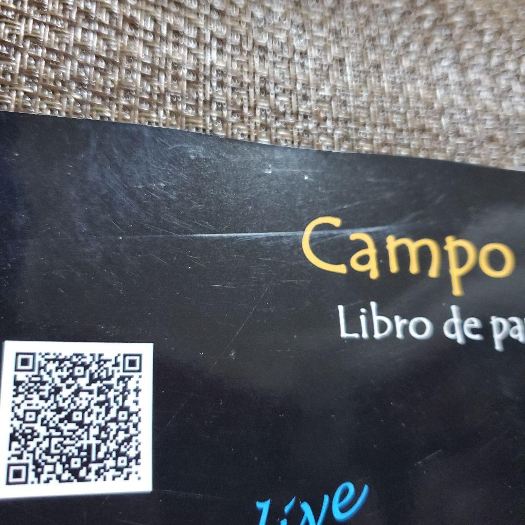 Vicente Amigo Campo de la Verdad ビセンテ