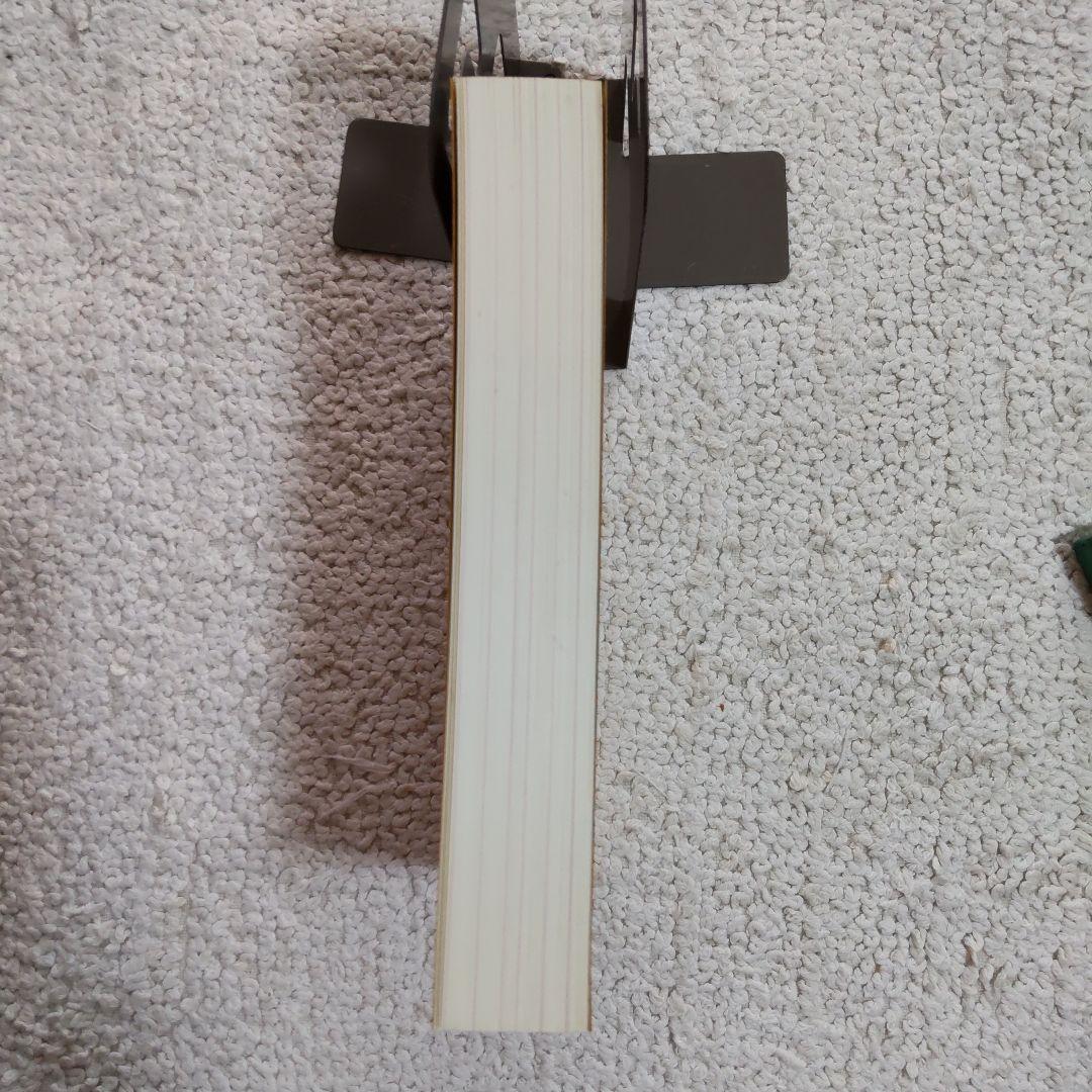 【未使用】生気自強療法独習録 石井常造著