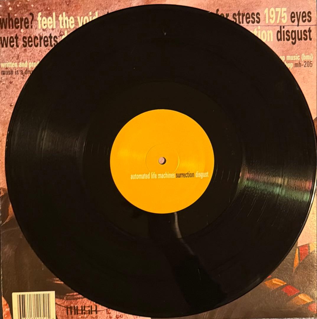 洋楽 Fat Jon Wave Motion 2LP