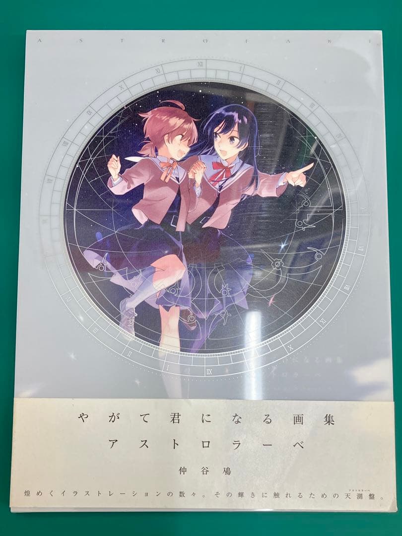 やがて君になる画集 アストロラーベ 仲谷鳰 ケース付き 初版本