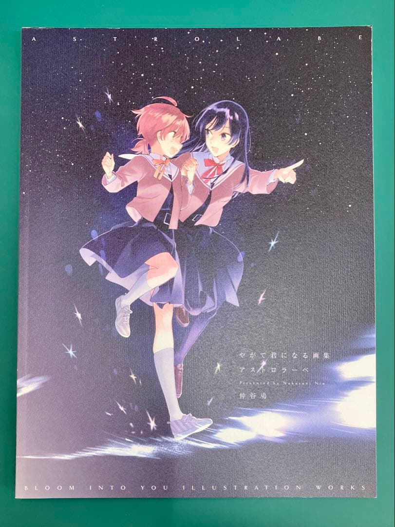 やがて君になる画集 アストロラーベ 仲谷鳰 ケース付き 初版本