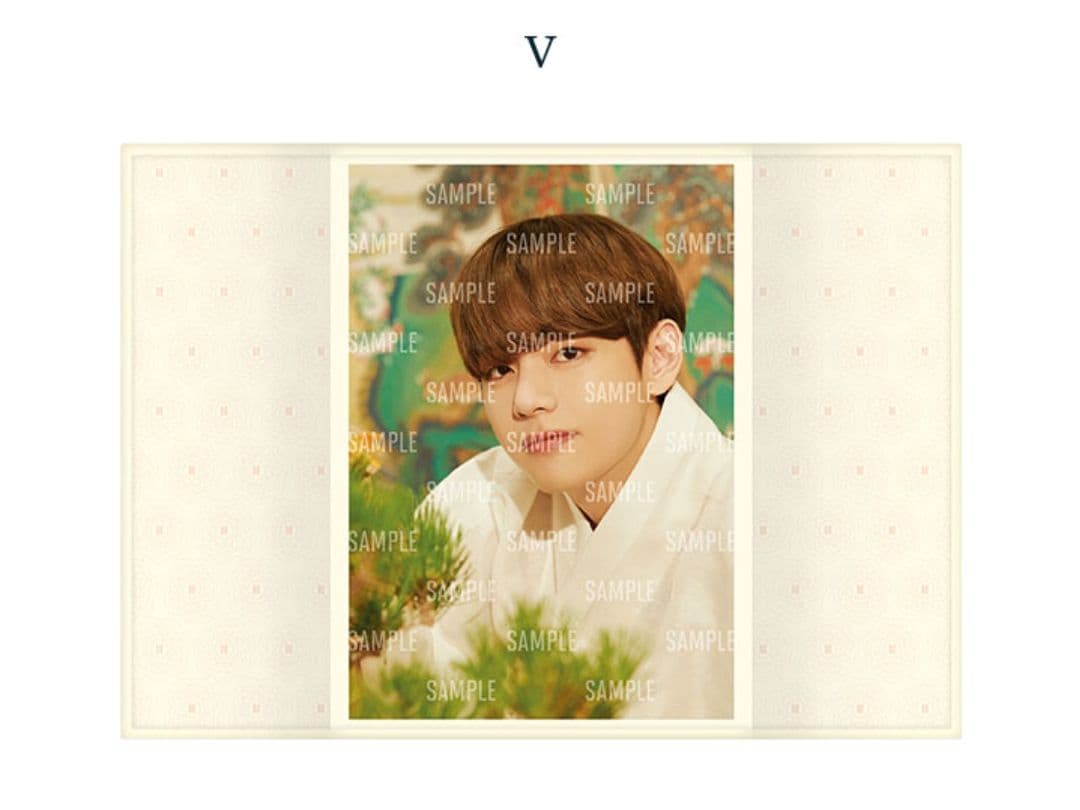 BTS DALMAJUNG ダルマジュン フリップフォト テヒョン