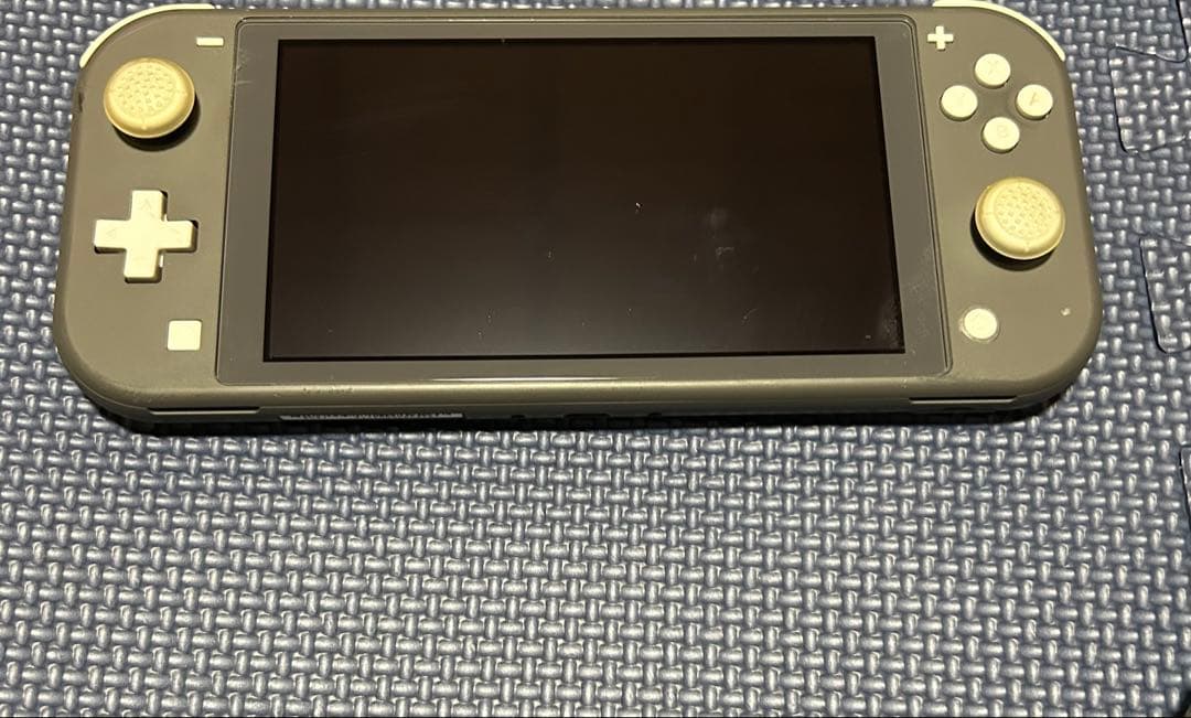 Nintendo Switch Lite グレー ケース付き