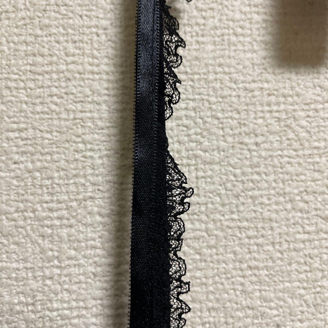Hysteric Glamour 黒いレースキャミソール 赤い林檎