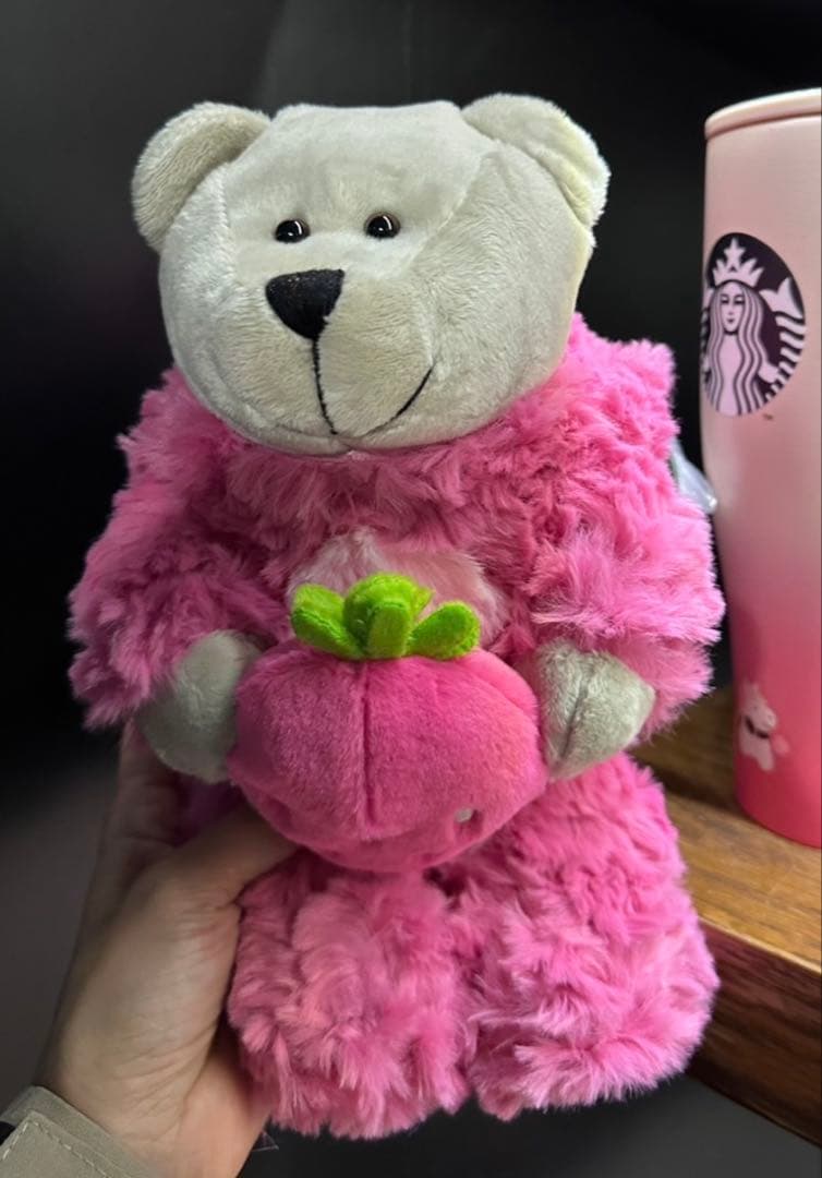 スターバックス 台湾 STARBUCKS いちご ベアリスタ ぬいぐるみ