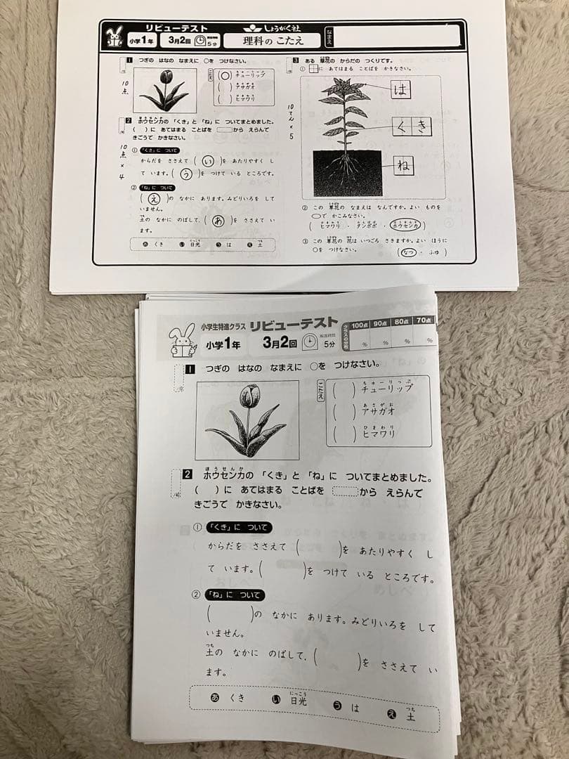 しょうがく社 小1 理科 リビューテスト 最レベ 小学生特進クラス