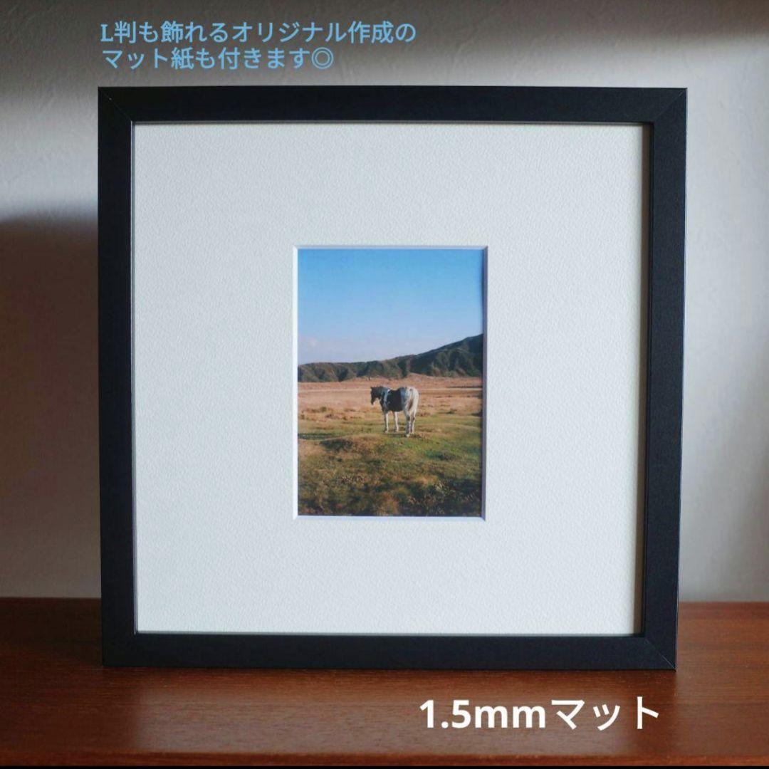 送料込★10個セット サンナヘド 額縁 フォトフレーム Ｌ判