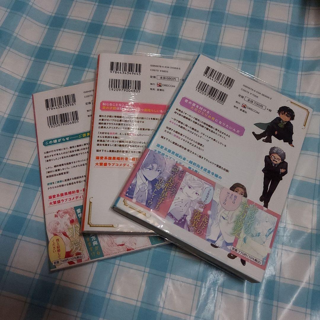 隠れ才女は全然めげない　１～３のセット