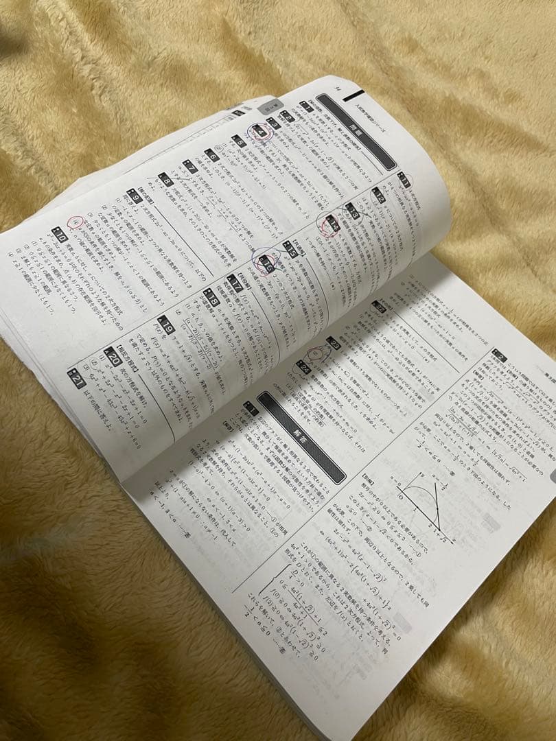 鉄緑会 高３理系数学 入試数学確認シリーズ 2022年