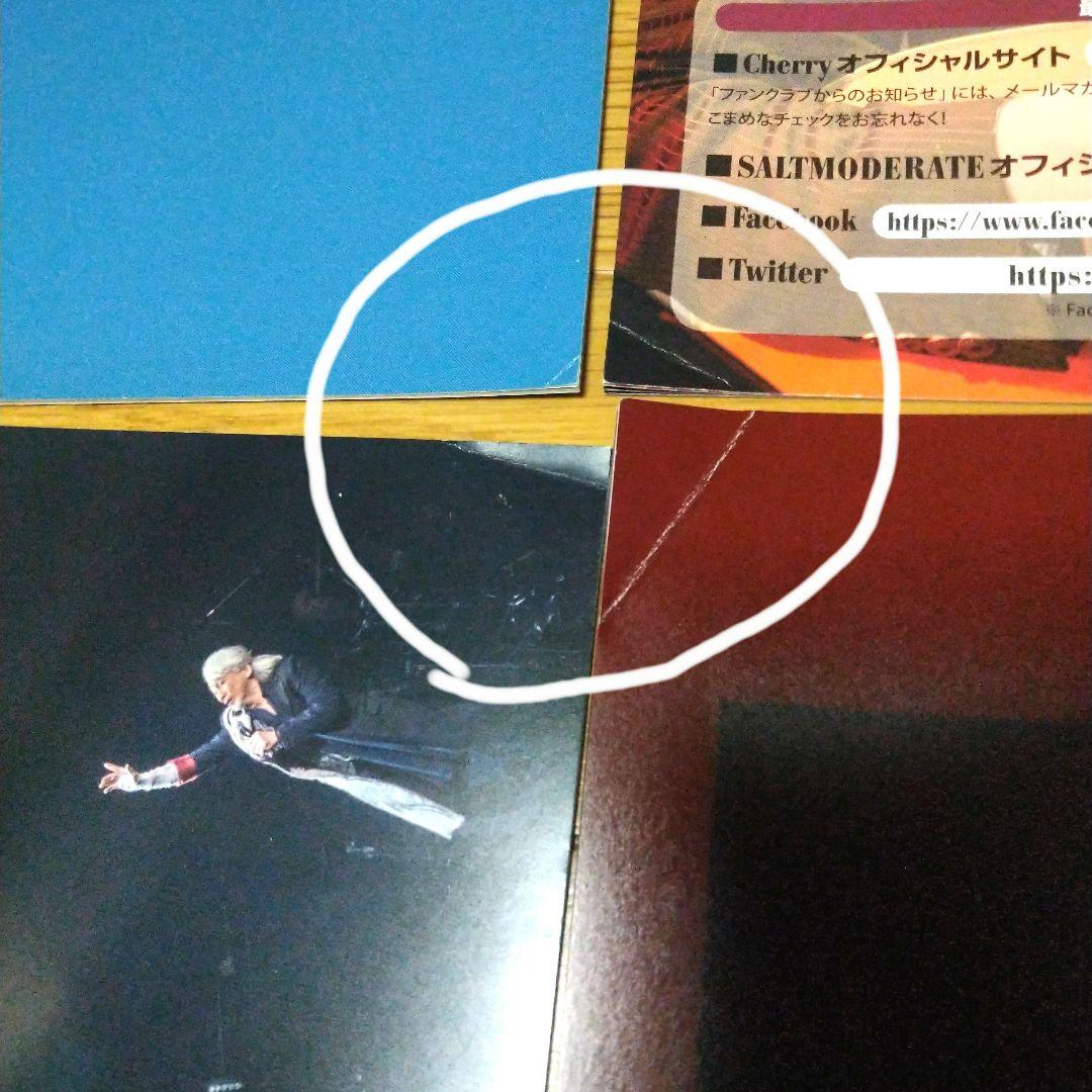安全地帯 玉置浩二ファンクラブ会報誌(Cherry)他まとめ売り