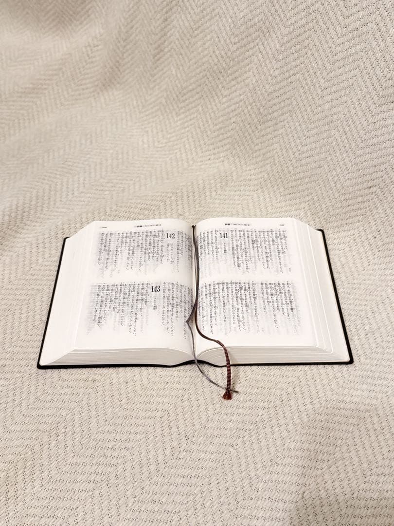 聖書 新改訳 BIBLE mini 第3版