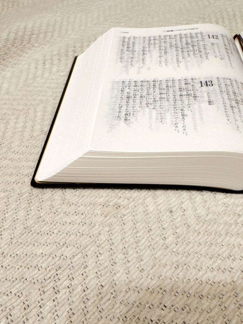 聖書 新改訳 BIBLE mini 第3版