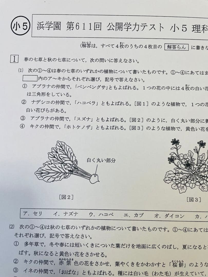 公開学力テスト 2023年、2024年度 浜学園 小5 2年分 4科目