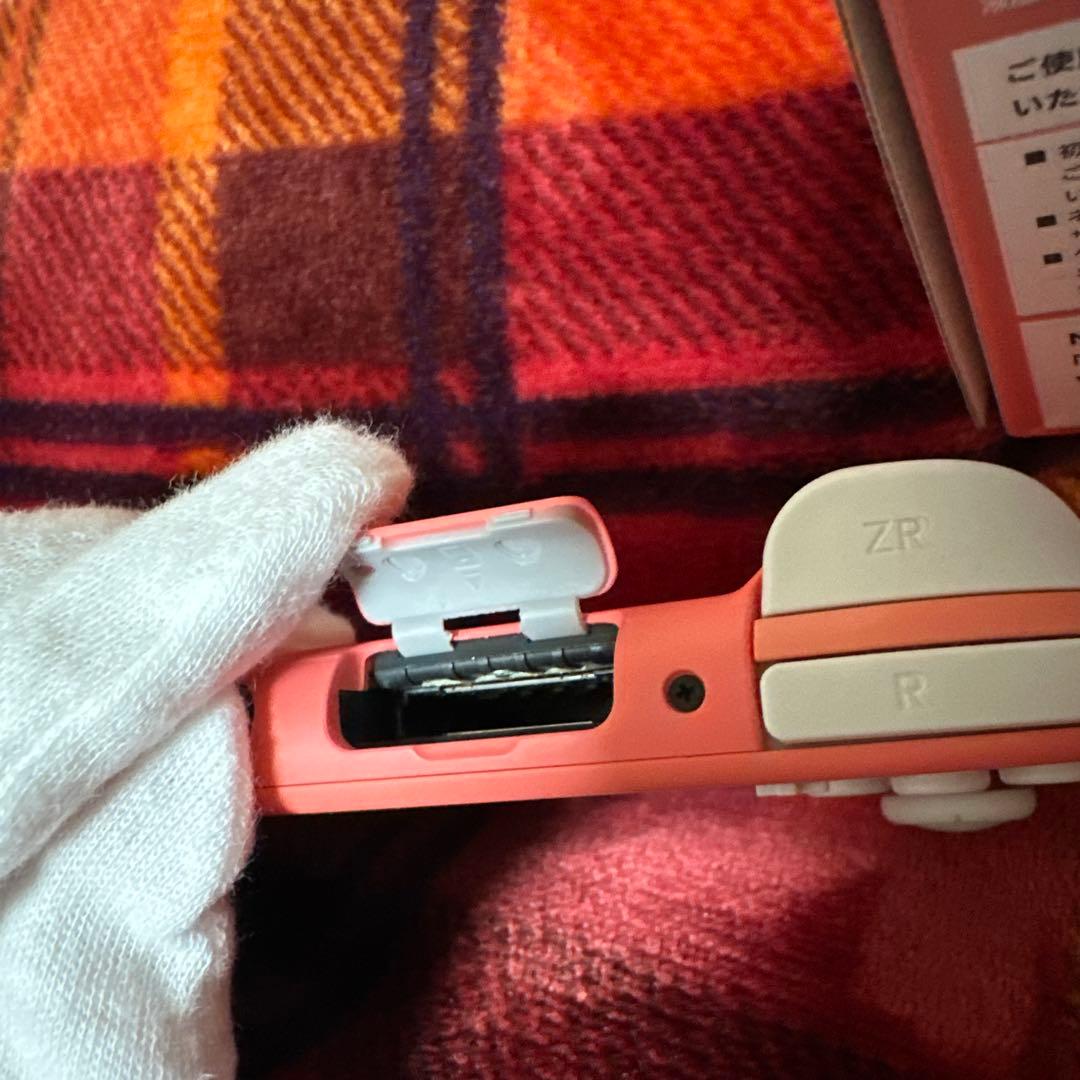 Nintendo Switch Lite　専用ケース付き
