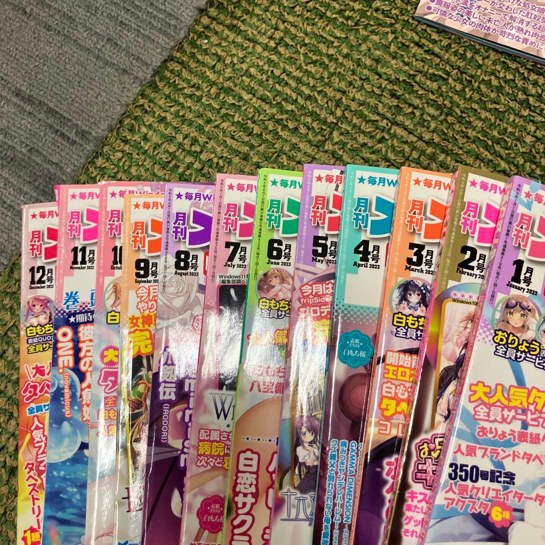 メガストア雑誌30冊セット　コアマガジン