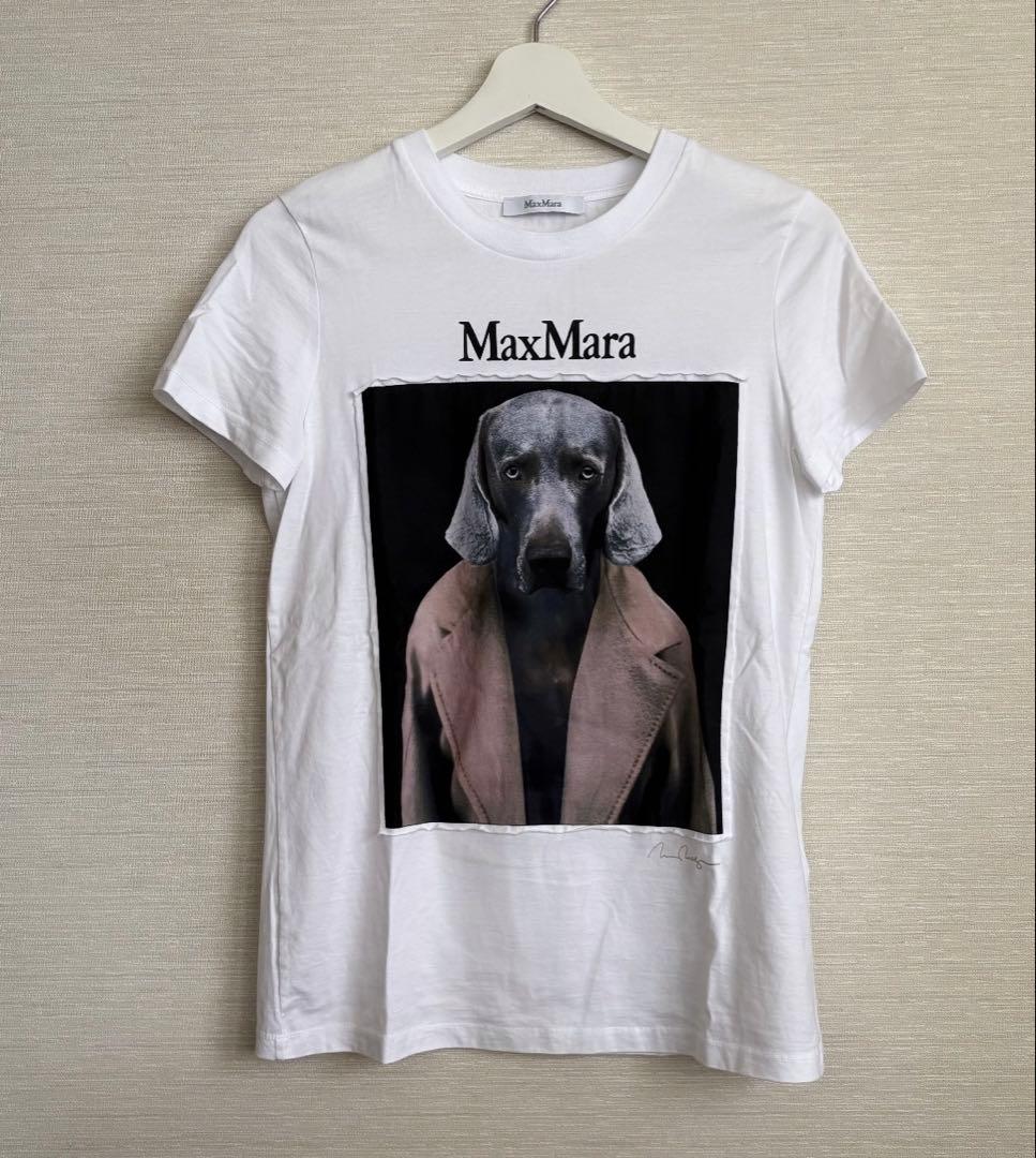 MAX MARA マックスマーラ Tシャツ CIPRIA チプリア
