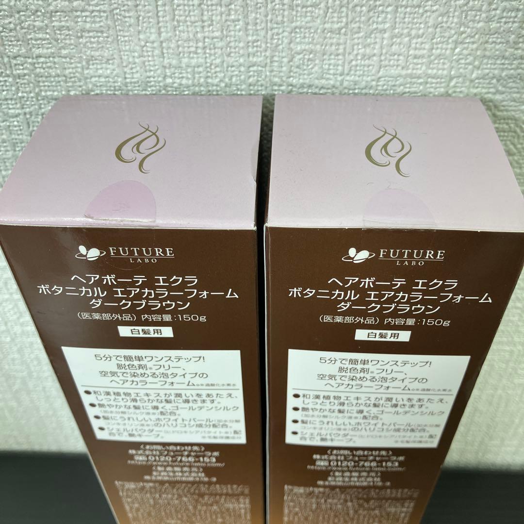【新品未開封】エクラ ボタニカルエアカラーフォーム ダークブラウン 150g×2