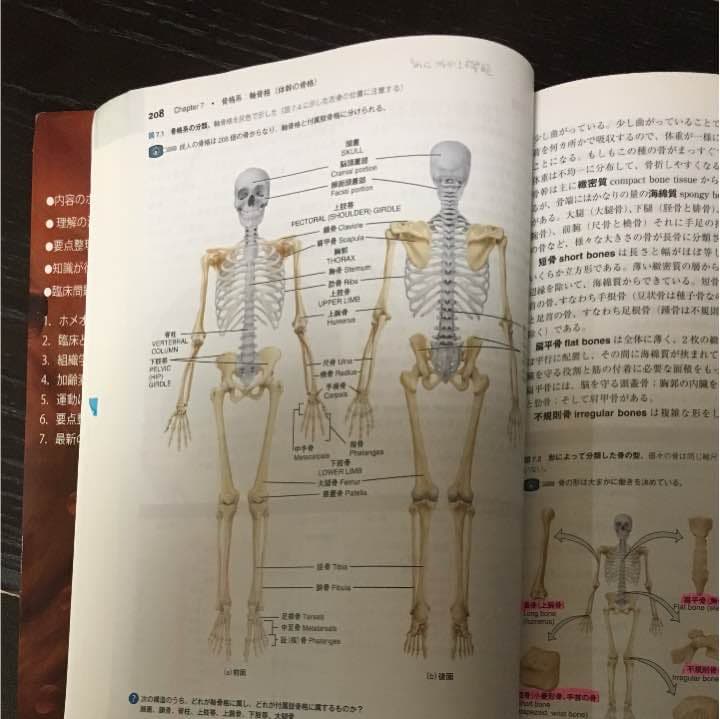 人体と成り立ちと機能