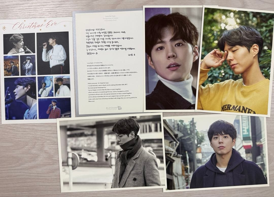 ボゴム Bo Gum ファンミーティング DVD