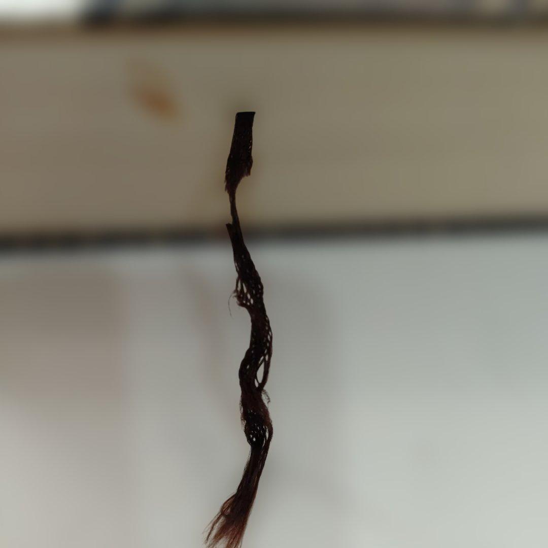 総覧 織文土器