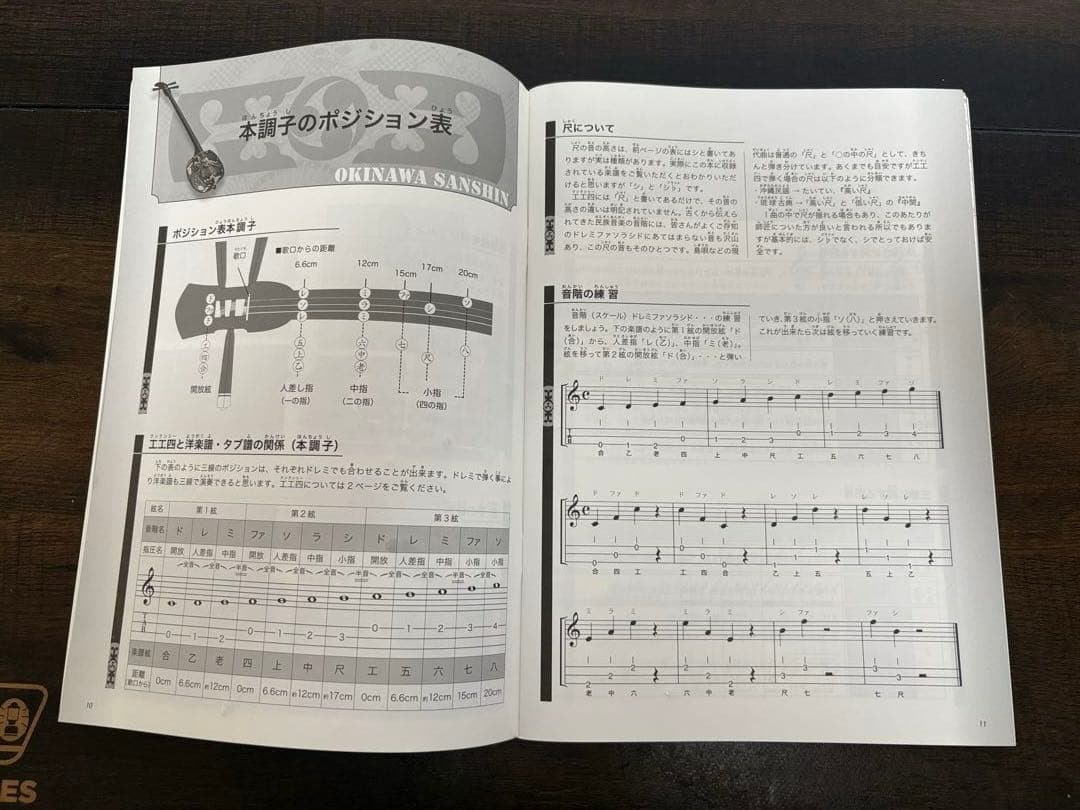 沖縄三線 ヘビ柄デザイン 楽譜集付
