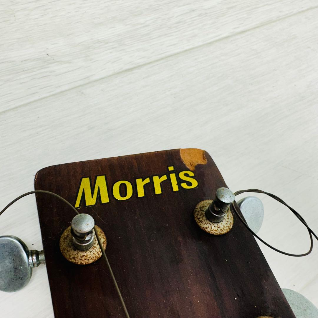 Morris アコースティックギター　F-12