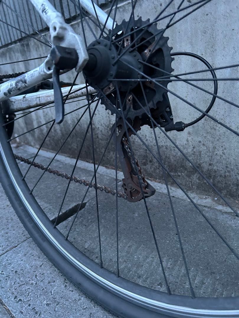 8sug ！！Bianchi クロスバイク ホワイト 700c