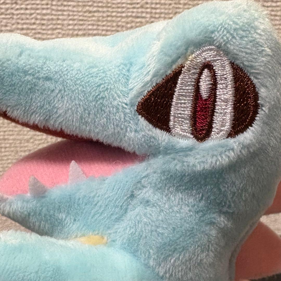 ポケモン　ミズゴロウ　ワニノコ　ぬいぐるみ ポケモンキャンバス