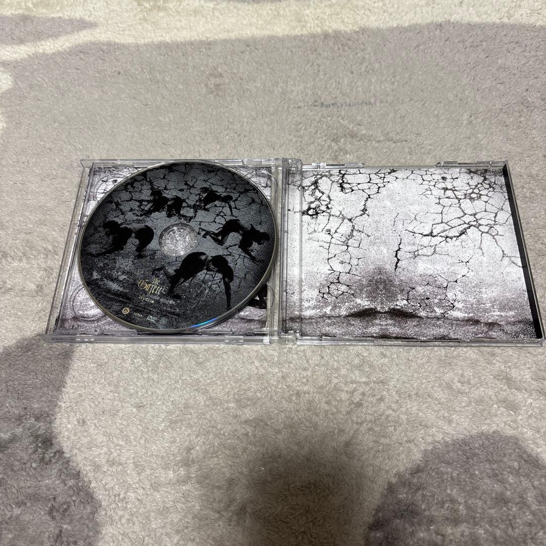 the GazettE CDまとめ売り（9枚）